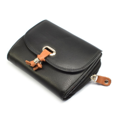 Dámská kožená peněženka