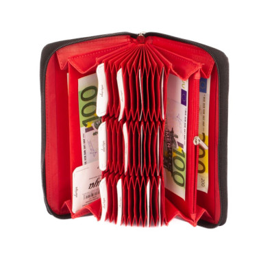 Dámská peněženka na hodně karet