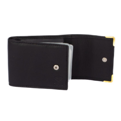 Vizitkovník - pouzdro na karty