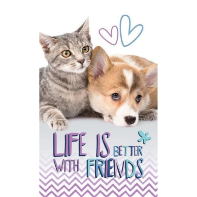 Dětský ručník Přátelé 50x30 cm