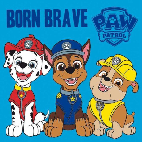 Magický ručníček Paw Patrol Brave 30x30 cm