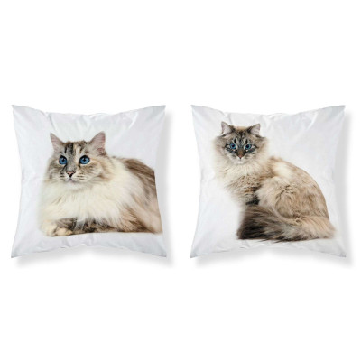 Povlak na polštářek Kočka modroočko micro Polyester, 40x40 cm