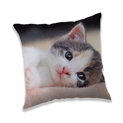 Povlak na polštářek Koťátko Polyester, 40x40 cm