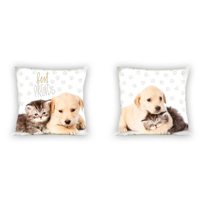 Povlak na polštářek Nejlepší přátelé Bavlna, 40x40 cm