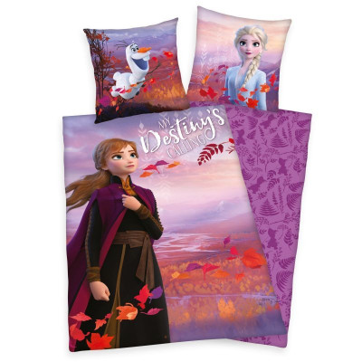 Povlečení Ledové království 2 Destiny 140x200, 70x90 cm